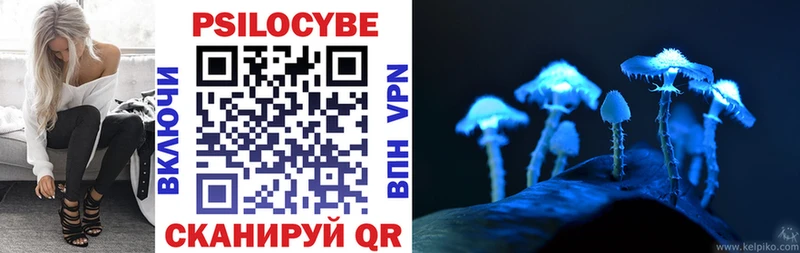 Псилоцибиновые грибы Psilocybe Дрезна